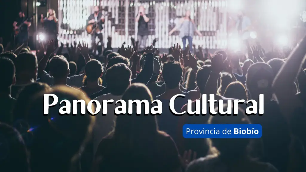 Diversos panoramas se desplegarán este fin de semana en la provincia de Biobío, La Tribuna