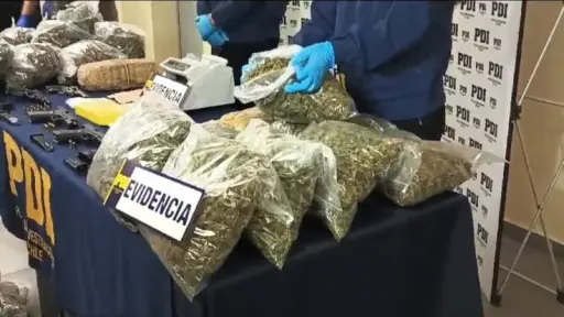 Desbaratan organización criminal transnacional dedicada al tráfico de drogas
