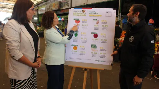Los principales alimentos que bajaron y subieron de precio en la última semana en Biobío