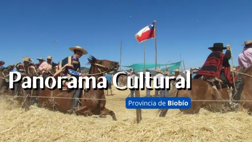 Festivales, ferias y deportes: Provincia de Biobío se llena de actividades para el fin de semana