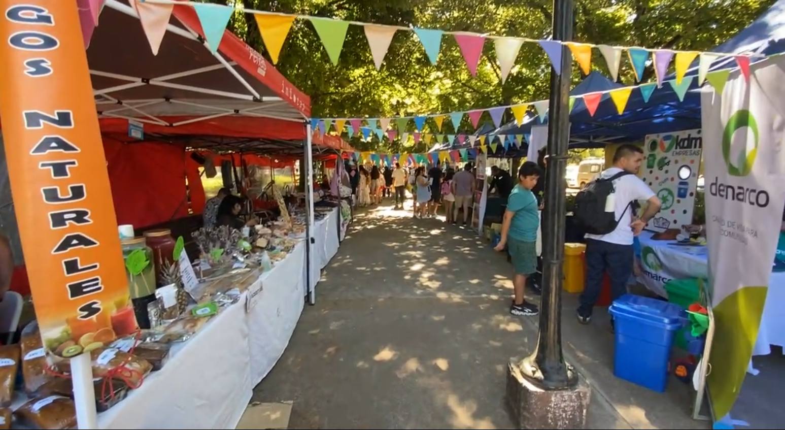 Eco Carnaval Ambiental / La Tribuna