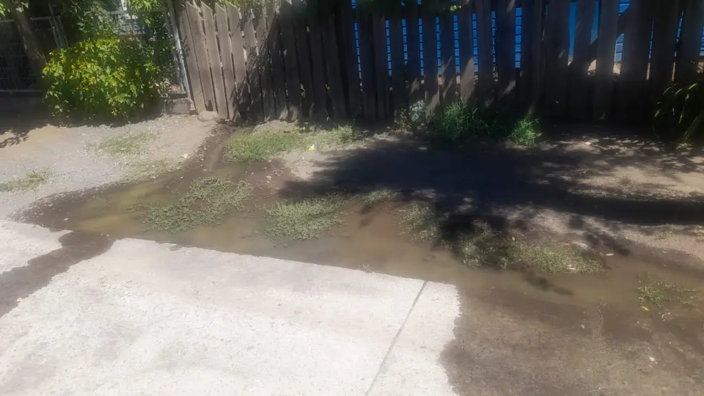 denuncia ciudadana, cedida