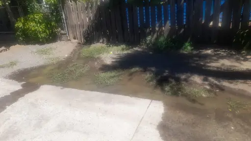 Preocupación en familias de Trupán Bajo por la insalubridad causada por aguas servidas
