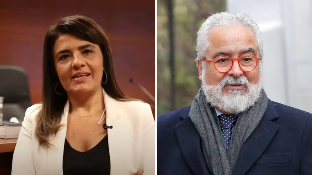 La decisión llega tras una publicación del medio The Clinic, que reveló comprometedores chats entre Sabaj y el abogado Luis Hermosilla., La Tercera 