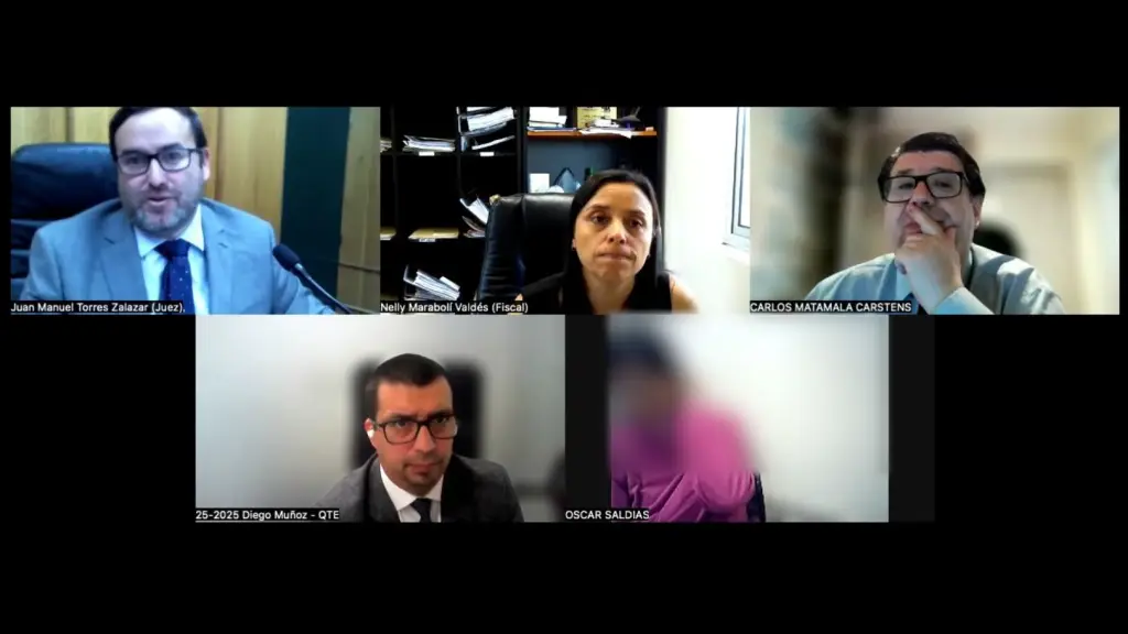 Mujer sospechosa de incendio Los Sauces internada