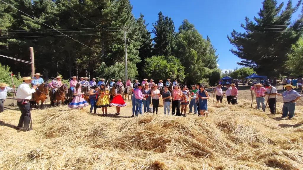 Un aspecto de la trilla a yegua suelta en Cancha Rayada, el año pasado., Cedida