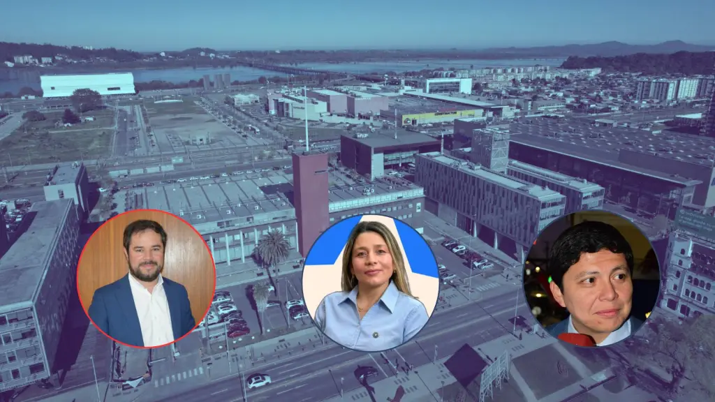 Comisiones Gobierno Regional Biobío