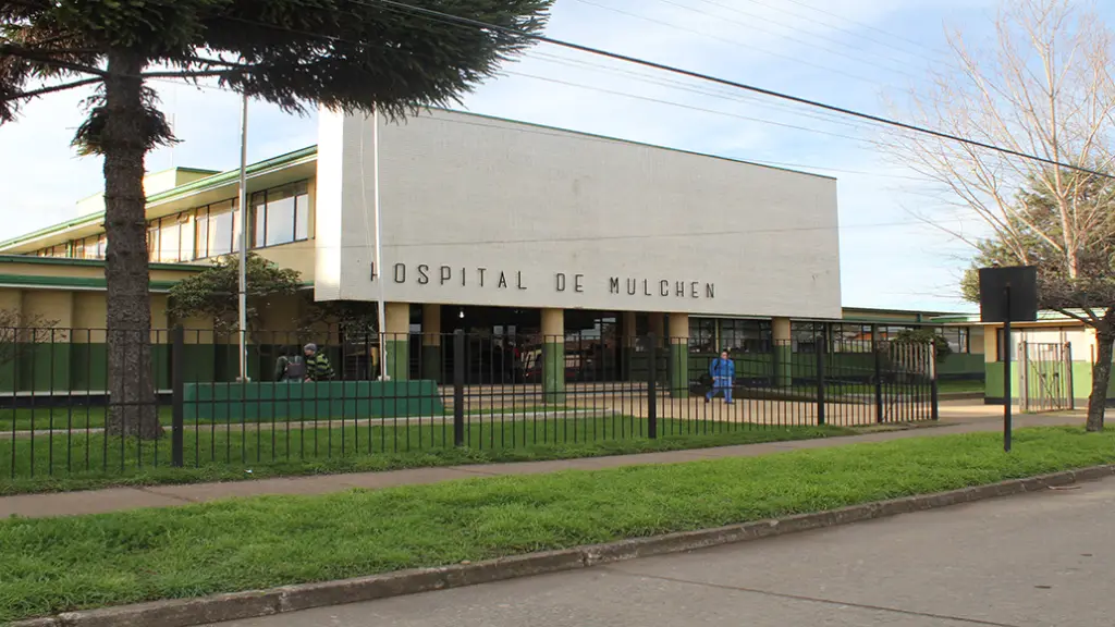 La víctima fue atendida en el hospital de Mulchén, Cedida