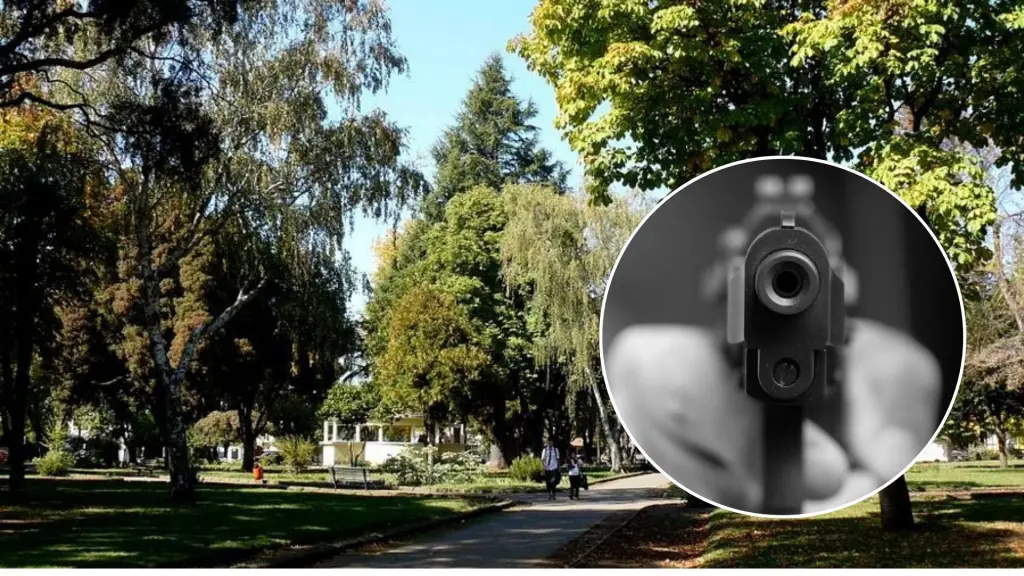 Delitos en Plaza Pinto, La Tribuna