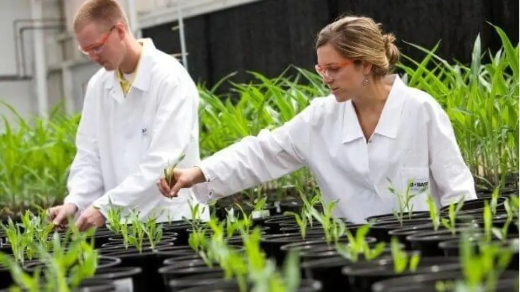 Desde ChileBIO han llamado a mantener en constante actualización las normas que regulan el uso de biotecnología, para aprovechar los beneficios que esta trae en producción.