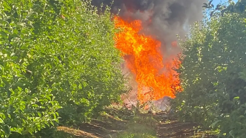 Se trataría de una avioneta que corresponde a un club áereo., Redes sociales