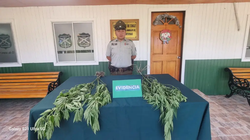 Operativo de Carabineros, Cedida