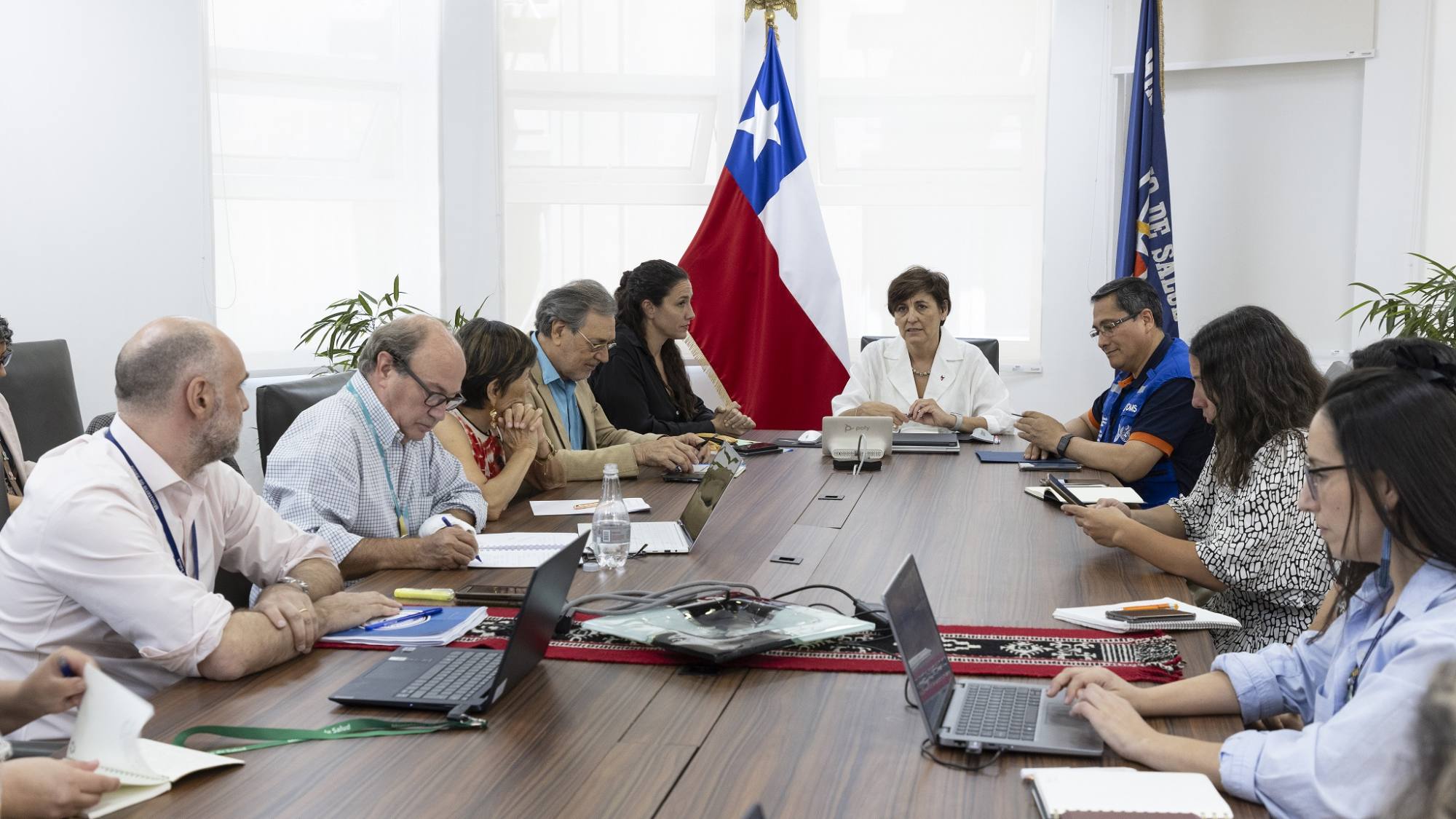 Ministra de Salud convoca a expertos para analizar situación de la gripe aviar en el mundo y su impacto en Chile