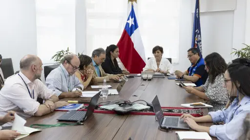 Ministra de Salud convoca a expertos para analizar situación de la gripe aviar en el mundo y su impacto en Chile