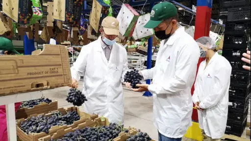 Exportaciones agrícolas a EE. UU.: Socabío cifra sus expectativas en la segunda administración de Trump