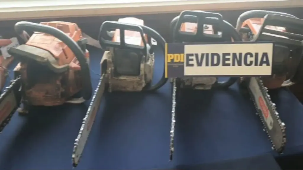 Parte de las especies incautadas, PDI Araucanía