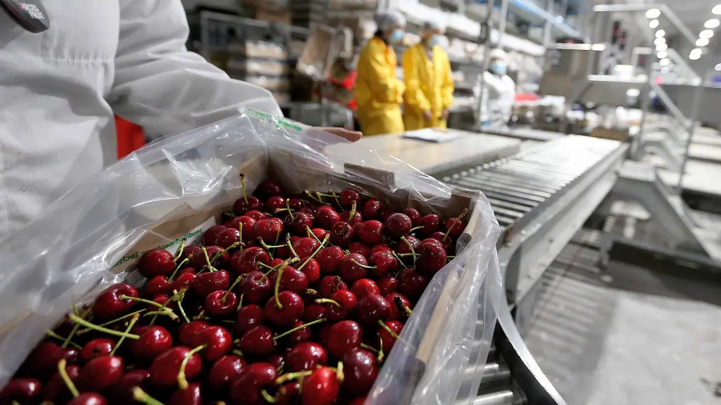 El gremio pidió a los productores no enviar calibres poco competitivos, y en caso de que se haga, no hacerlo con China para no perjudicar la fruta de buena calidad.