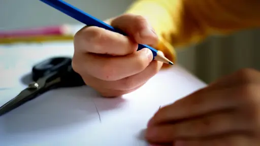 Voluntariado País de Mayores invita a docentes jubilados a sumarse en Yumbel