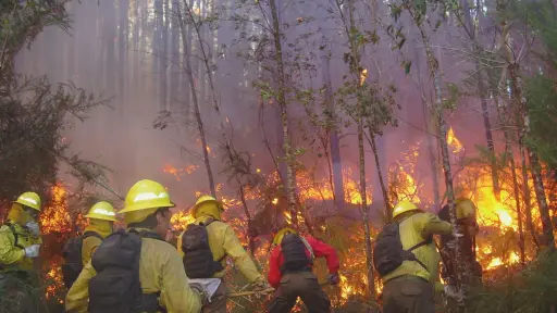 CONAF alcanza un 76% de aprobación por su labor en incendios forestales