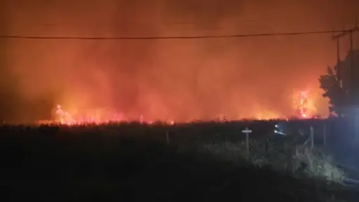 Dos emergencias forestales se registraron en las últimas horas en Yumbel