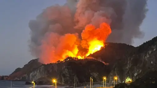ALERTA SAE: Senapred solicitó evacuación en sector Millongue, Lebu, por incendio forestal