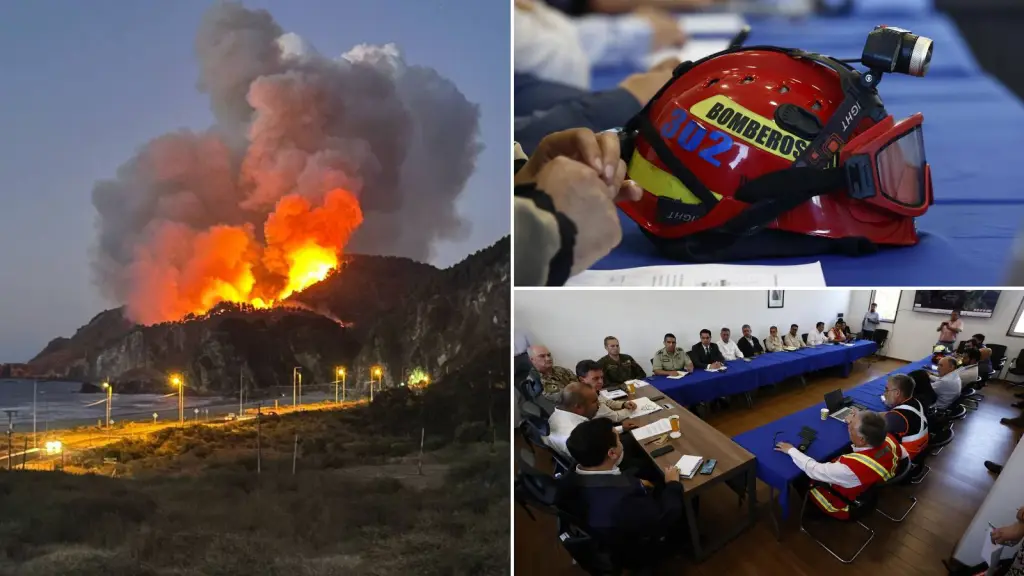 Perseguiremos judicialmente a los responsables: Seis querellas y detenciones en Biobío por incendios intencionales, Cedida