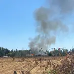 Incendio en Los Encinos, Cedida