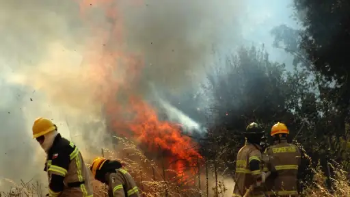 Extienden toque de queda en seis comunas de La Araucanía por Incendios Forestales