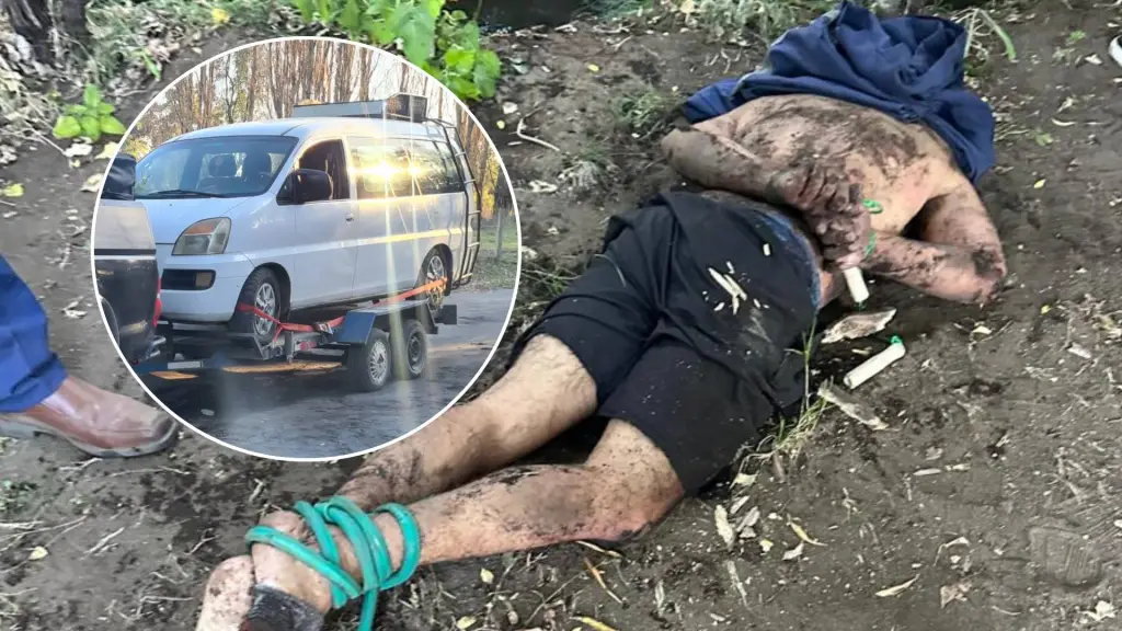 Vecinos alertaron la situación y, junto con la ayuda de perros del sector, lograron impedir la fuga del individuo hasta la llegada de Carabineros., Gentileza