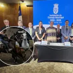 Concejo Municipal de Los Ángeles aprueba subvención para ExpoSocabío 2025, La Tribuna
