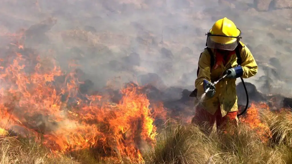 Incendios forestales en La Araucanía, Referencial