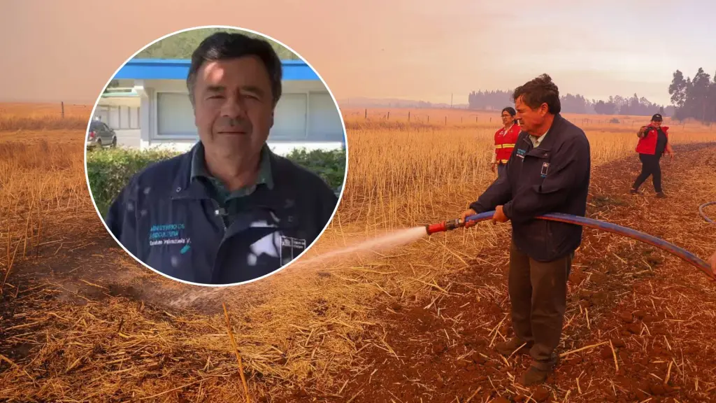 La autoridad aseguró que en situaciones de emergencia es clave colaborar, incluso ayudando a apagar focos de incendio. Palabras clave: Ministro Valenzuela, Traiguén, emergencia, incendios forestales, ayuda comunitaria. , X | Ministro de Agricultura Esteban Valenzuela