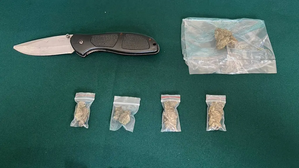 Patrulla Foco decomisó droga., Cedida