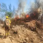 Incendios forestales en Biobío: sin viviendas ni personas afectadas tras fin de semana crítico, Ejército de Chile