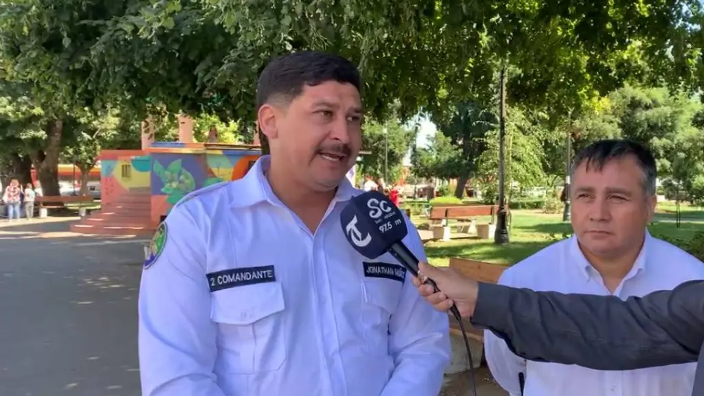 Bomberos de Mulchén realizan balance de incendios forestales , Diario La Tribuna