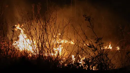 Declaran Alerta Amarilla en Mulchén por Incendio Forestal en Bellavista