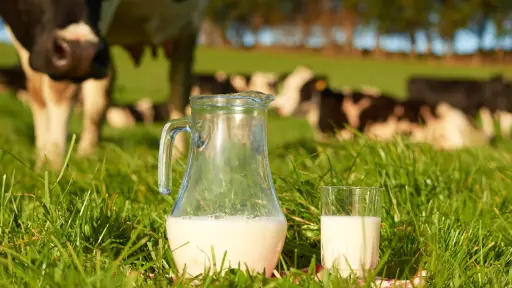 Industria lechera proyecta crecimiento en 2025 pese a dificultades estructurales