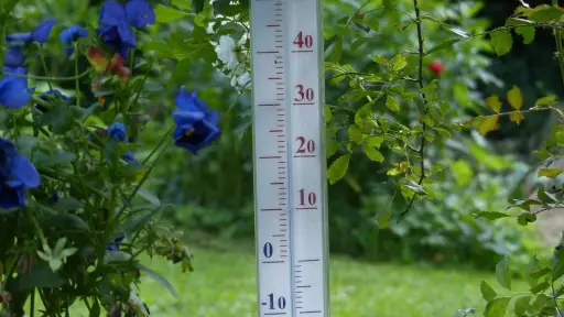 Fin de la ola de calor: Provincia de Biobío tendrá temperaturas más moderadas