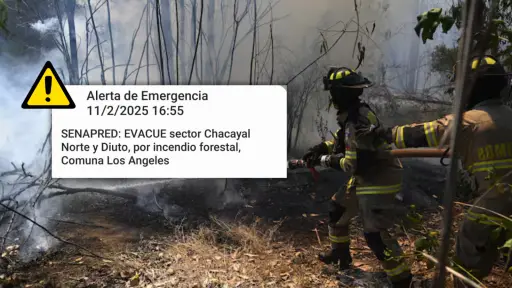 Evacuación de sectores Chacayal Norte y Diuto por incendio forestal