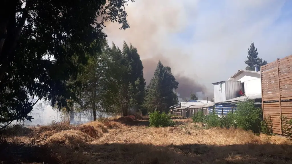 Incendio Chacayal, Cedida