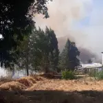 Incendio Chacayal, Cedida