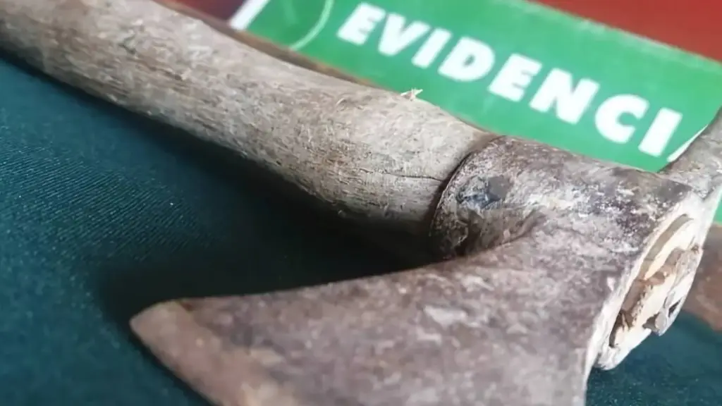 La víctima fue amenazada de muerte, golpeada y posteriormente agredida en la cabeza con un hacha que fue a buscar a la cocina., Referencial | Carabineros