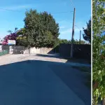Camiones ponen en peligro el paso el Buitre