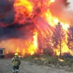 Incendio forestal en Argentina cruza a Chile y activa operativo de emergencia, La Tribuna