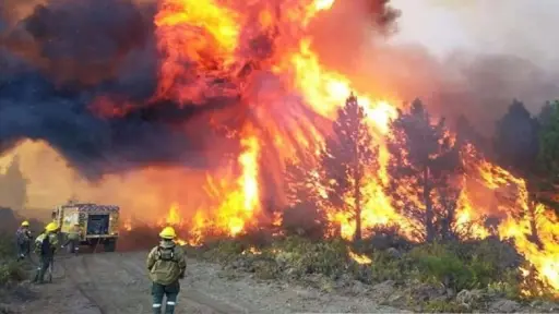 Descontrolado incendio forestal argentino se extiende hasta territorio chileno