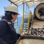 El gremio regional de pescadores artesanales llamó a volcar la actividad hacia el consumo humano, preocupándose de los mercados locales así como de la industria procesadora.