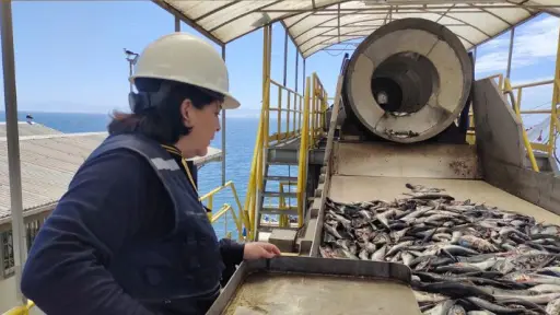 Pescadores artesanales de Biobío valoran incremento de cuota por la ley de Fraccionamiento