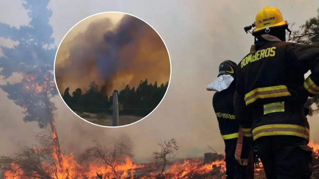 Combate de incendios forestales., Referencial | Captura de pantalla incendio en sector las Nieves Norte, Yumbel.