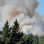 Incendio en Yumbel desata operativo de emergencia mientras Cogrid Nacional coordina respuesta por riesgo de calor extremo, Cedida