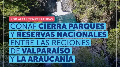 Parques y reservas del Biobío cerrados por ola de calor extrema y riesgo de incendios forestales